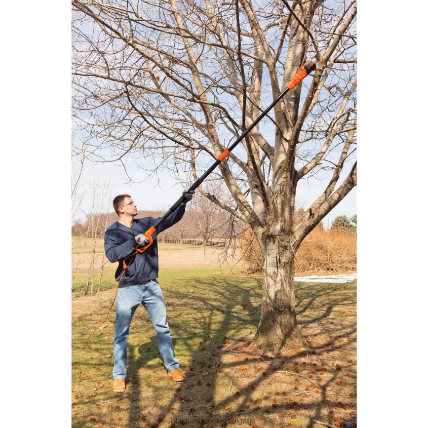 на открито бг BLACK+DECKER 6,5 ампера 9-1/2 футов трион V8R6ZD398